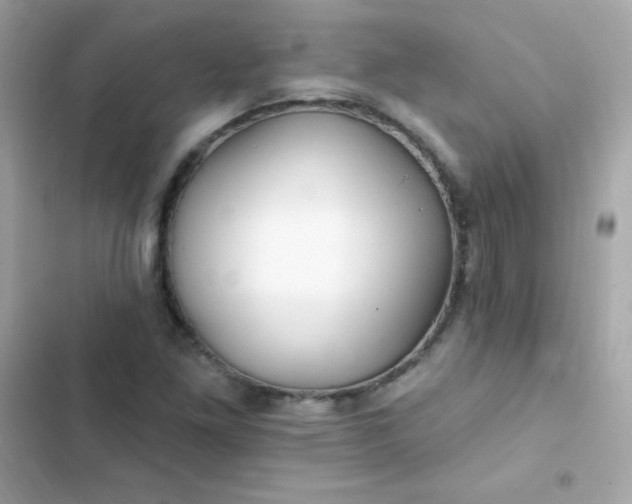 X0000103321261200809192131