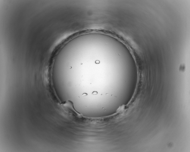 X0000103321262200809192131