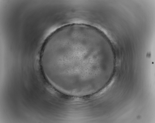 X0000103321263200809192131