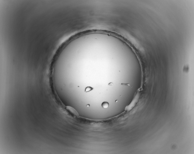 X0000103321264200809192131