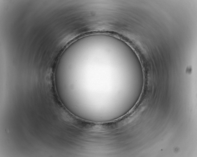 X0000103321265200809192131