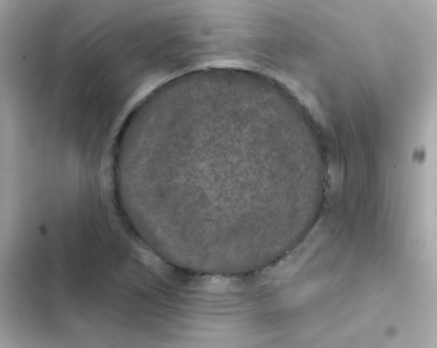 X0000103321266200809192131