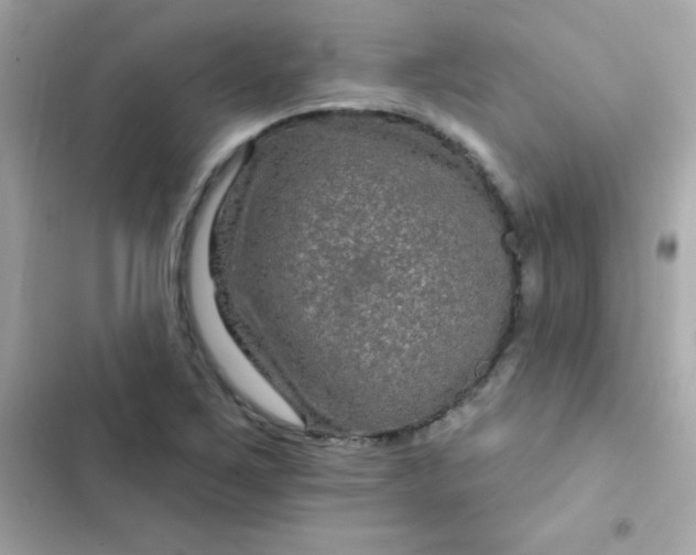 X0000103321267200809192131