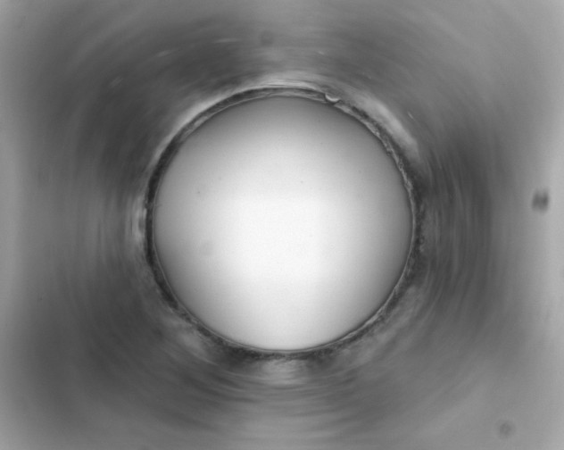 X0000103321268200809192131