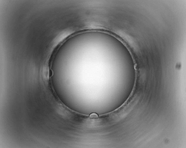 X0000103321269200809192131