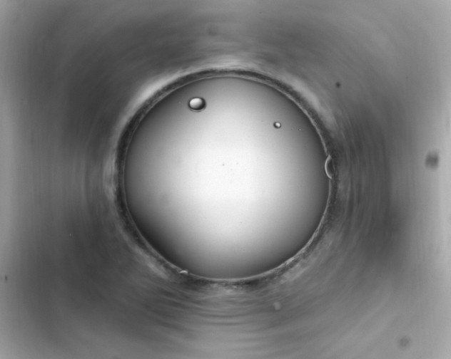 X0000103321270200809192131