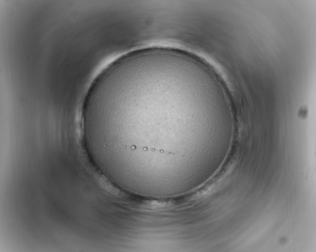 X0000103321271200809192131