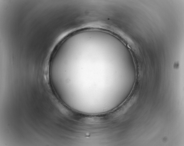 X0000103321272200809192131