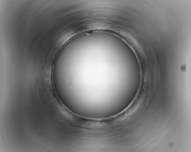 X0000103321273200809192131