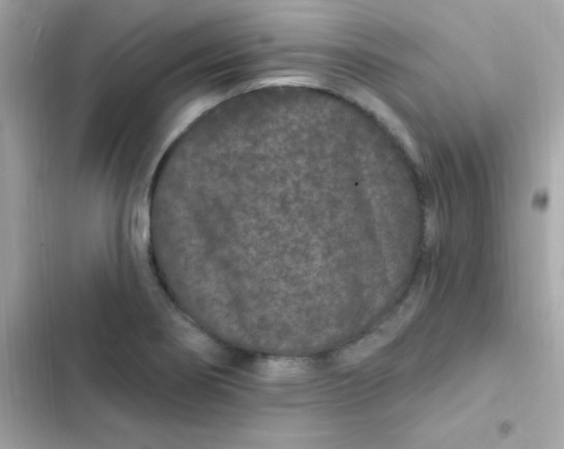 X0000103321274200809192131