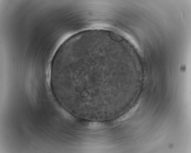 X0000103321275200809192131