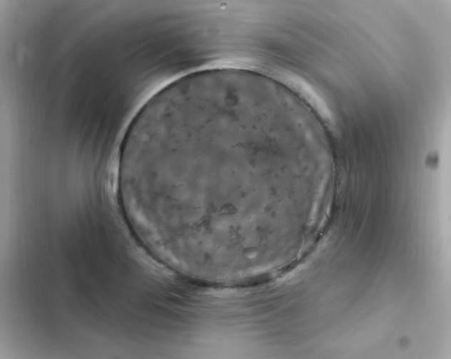 X0000103321276200809192131