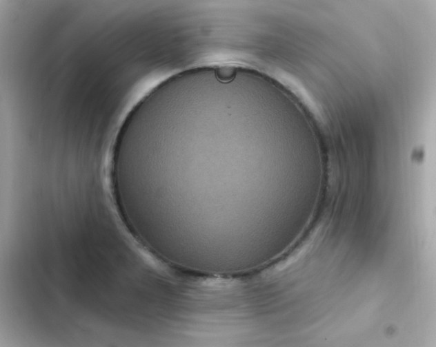 X0000103321277200809192131