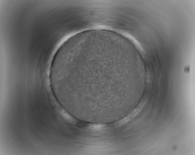 X0000103321278200809192131