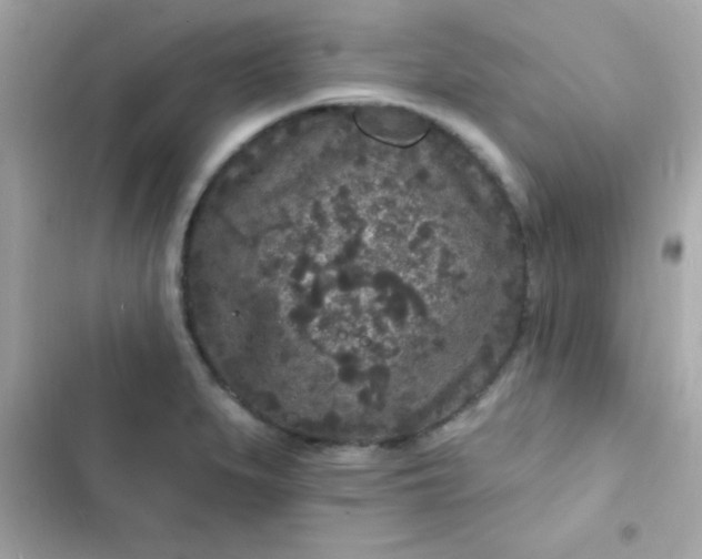 X0000103321279200809192131