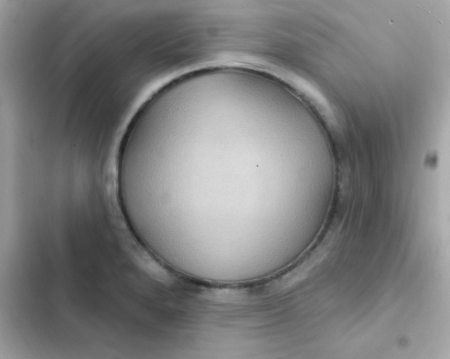 X0000103321280200809192131