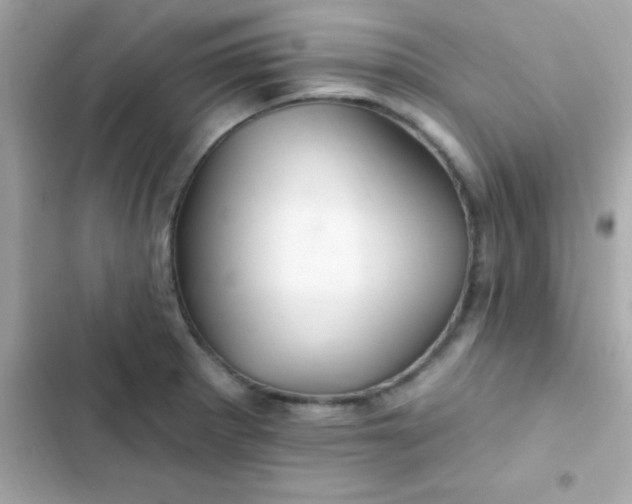 X0000103321281200809192131