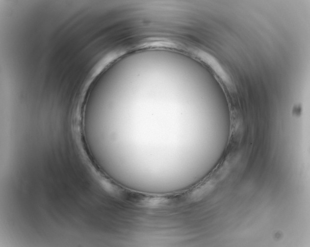 X0000103321282200809192131