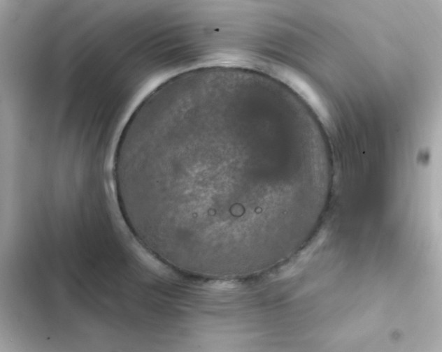 X0000103321283200809192131