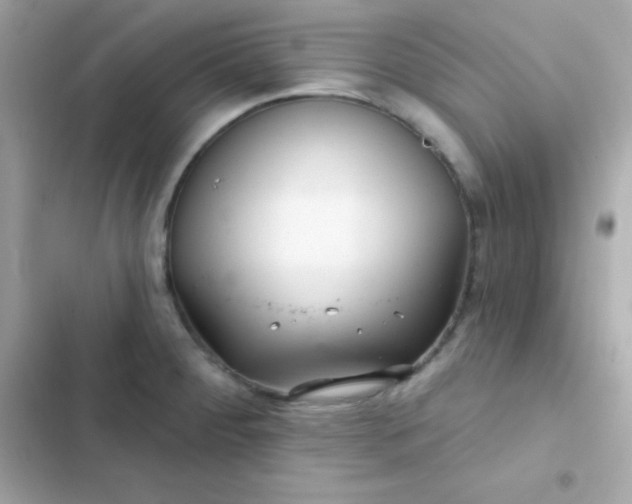 X0000103321284200809192131