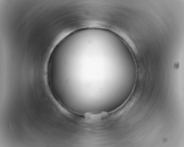 X0000103321285200809192131