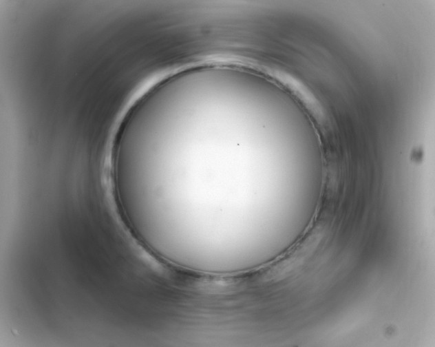 X0000103321286200809192131