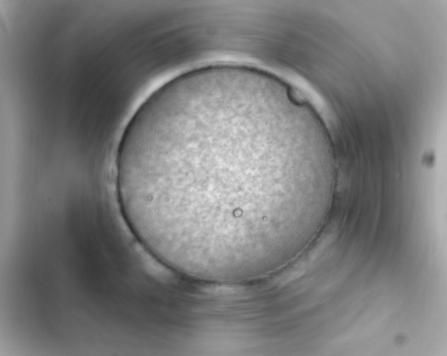 X0000103321287200809192131