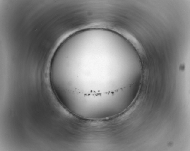 X0000103321288200809192131