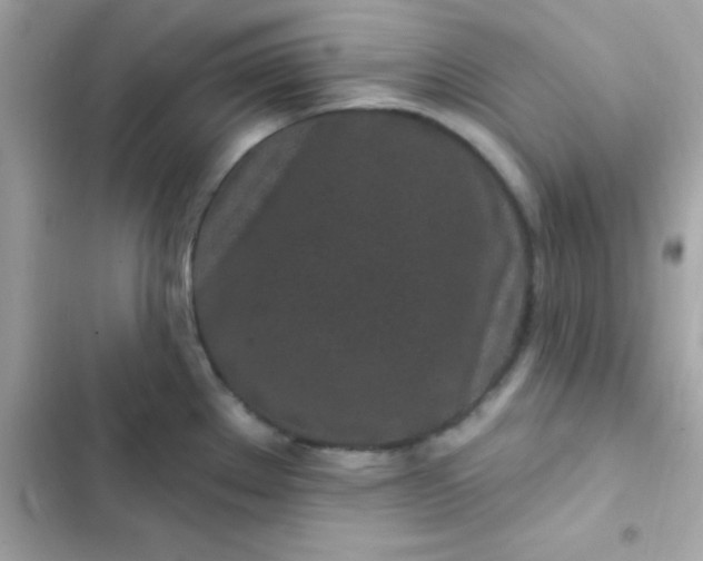 X0000103321289200809192131