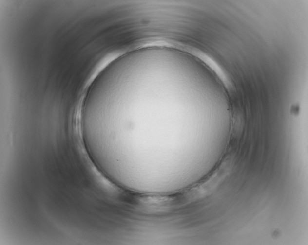 X0000103321290200809192131