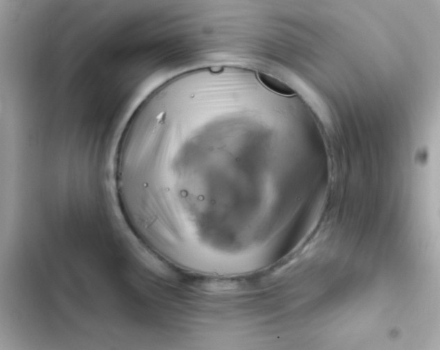 X0000103321291200809192131