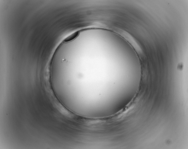 X0000103321292200809192131