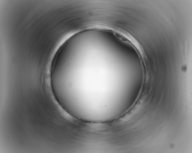 X0000103321293200809192131