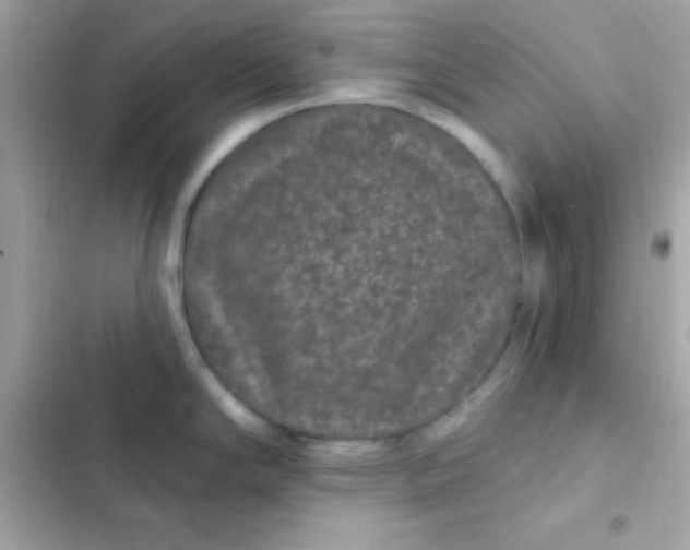 X0000103321294200809192131