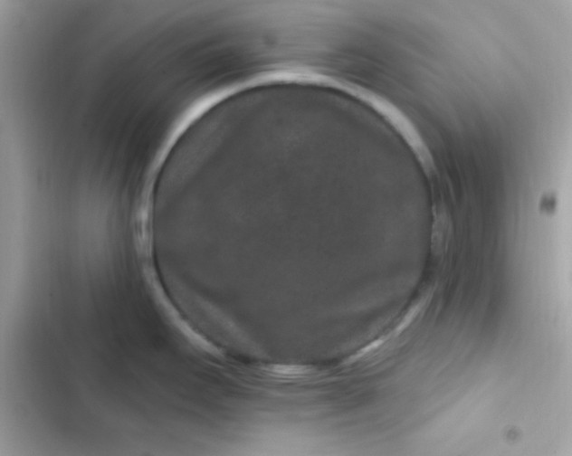 X0000103321295200809192131