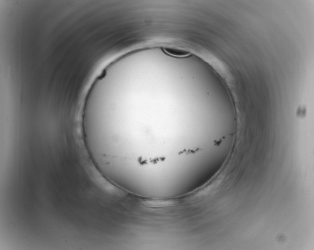 X0000103321296200809192131