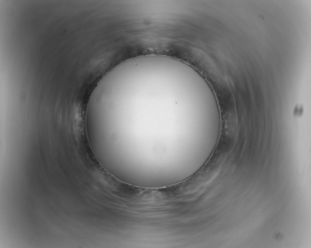 X0000103321298200809192130