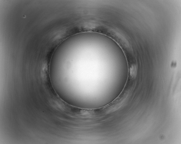 X0000103321299200809192130