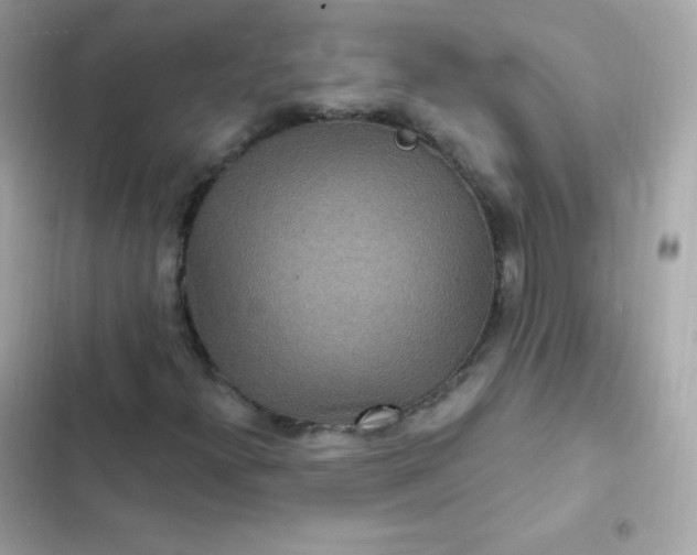 X0000103321300200809192130