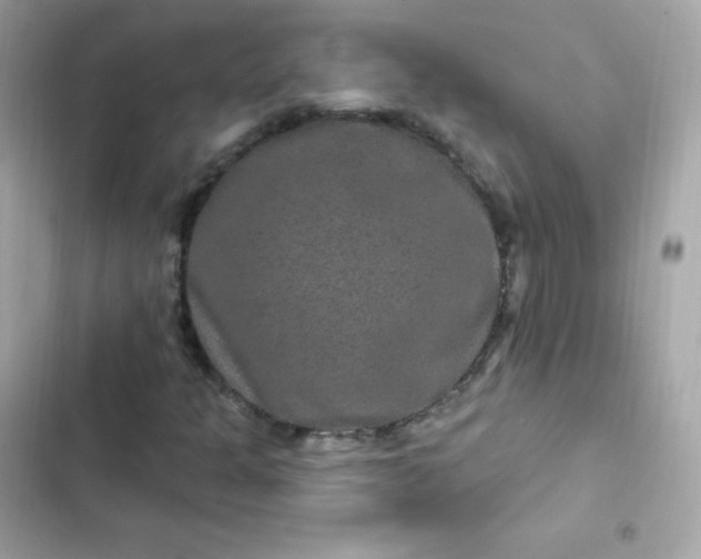 X0000103321301200809192130