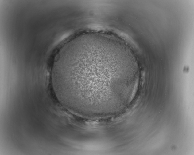 X0000103321302200809192130