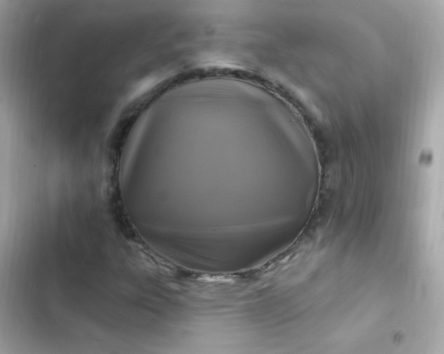 X0000103321303200809192130