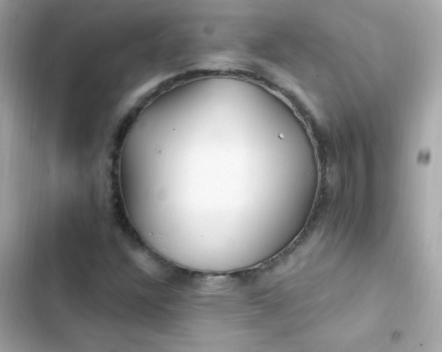 X0000103321304200809192130