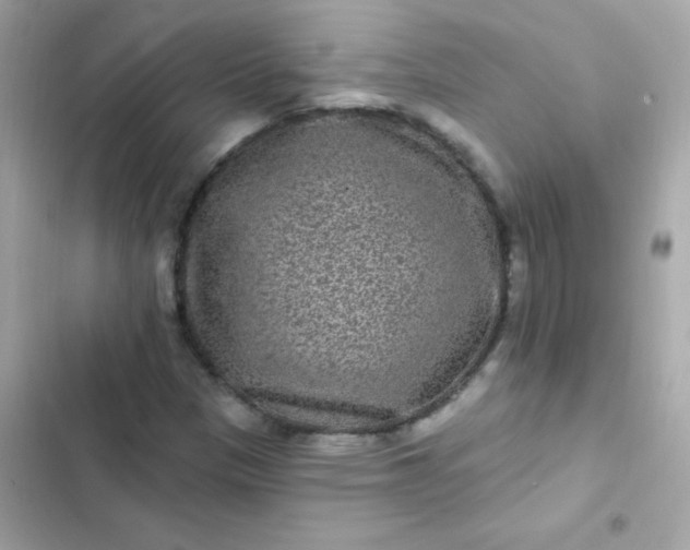 X0000103321305200809192130