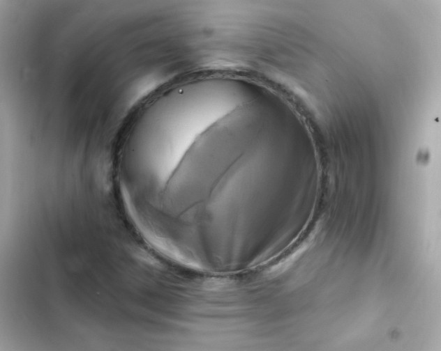 X0000103321306200809192130