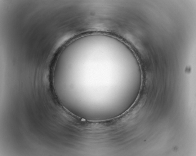 X0000103321307200809192130