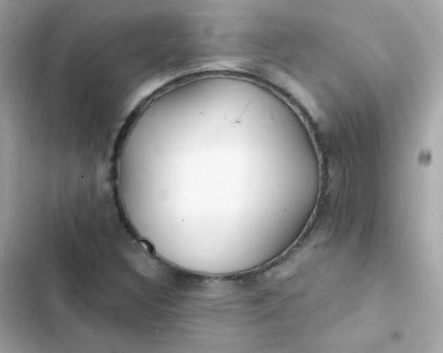 X0000103321308200809192130