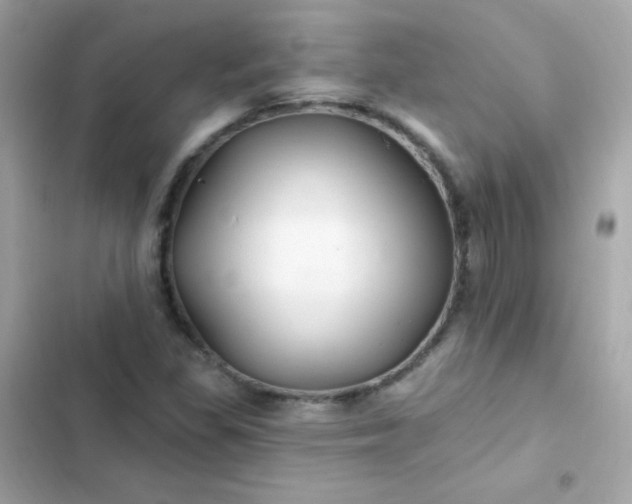 X0000103321309200809192130