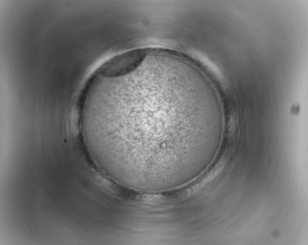 X0000103321310200809192130