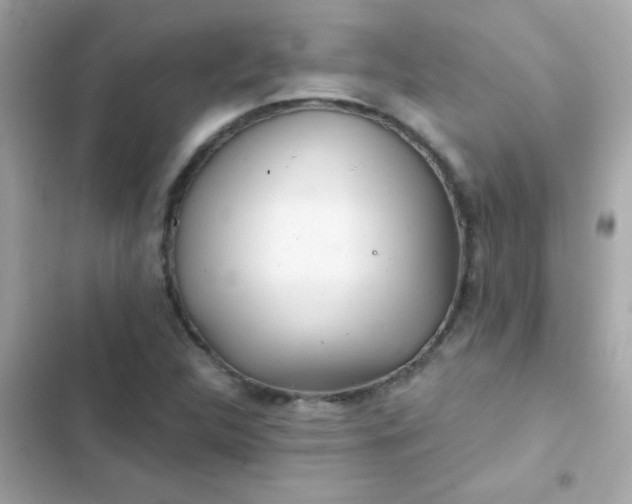 X0000103321312200809192130